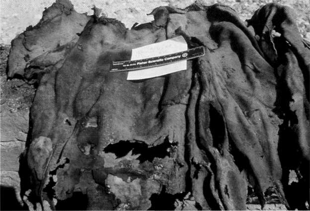 Garment with woven rosettes and hemmed cut.